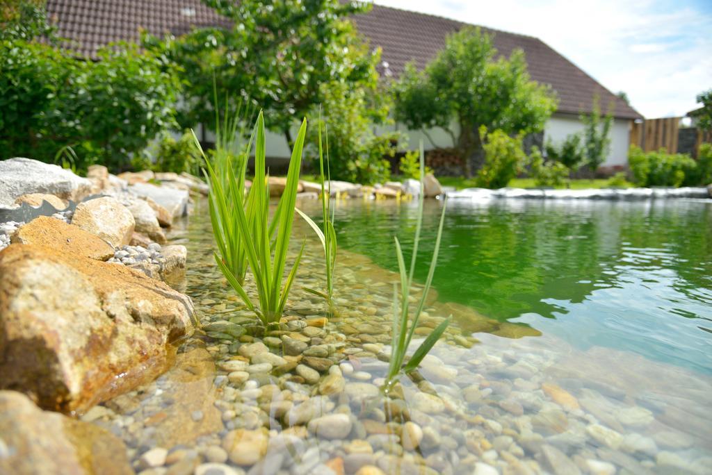 Pivovarsky Dvur Lipan Týn nad Vltavou Exterior foto